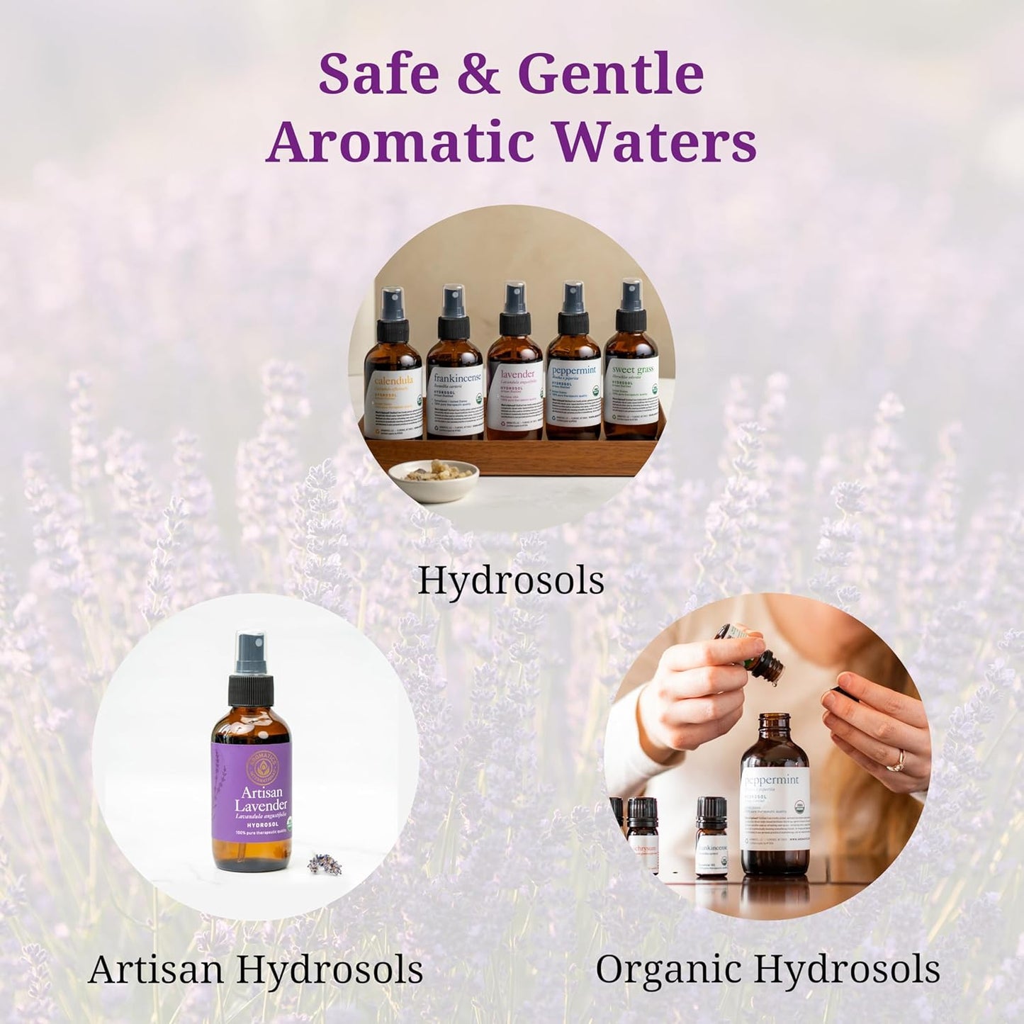 Aromatics International Lemon Thyme Hydrosol 100ml | Citrus-Herbal Aromatic Spray for Home Use