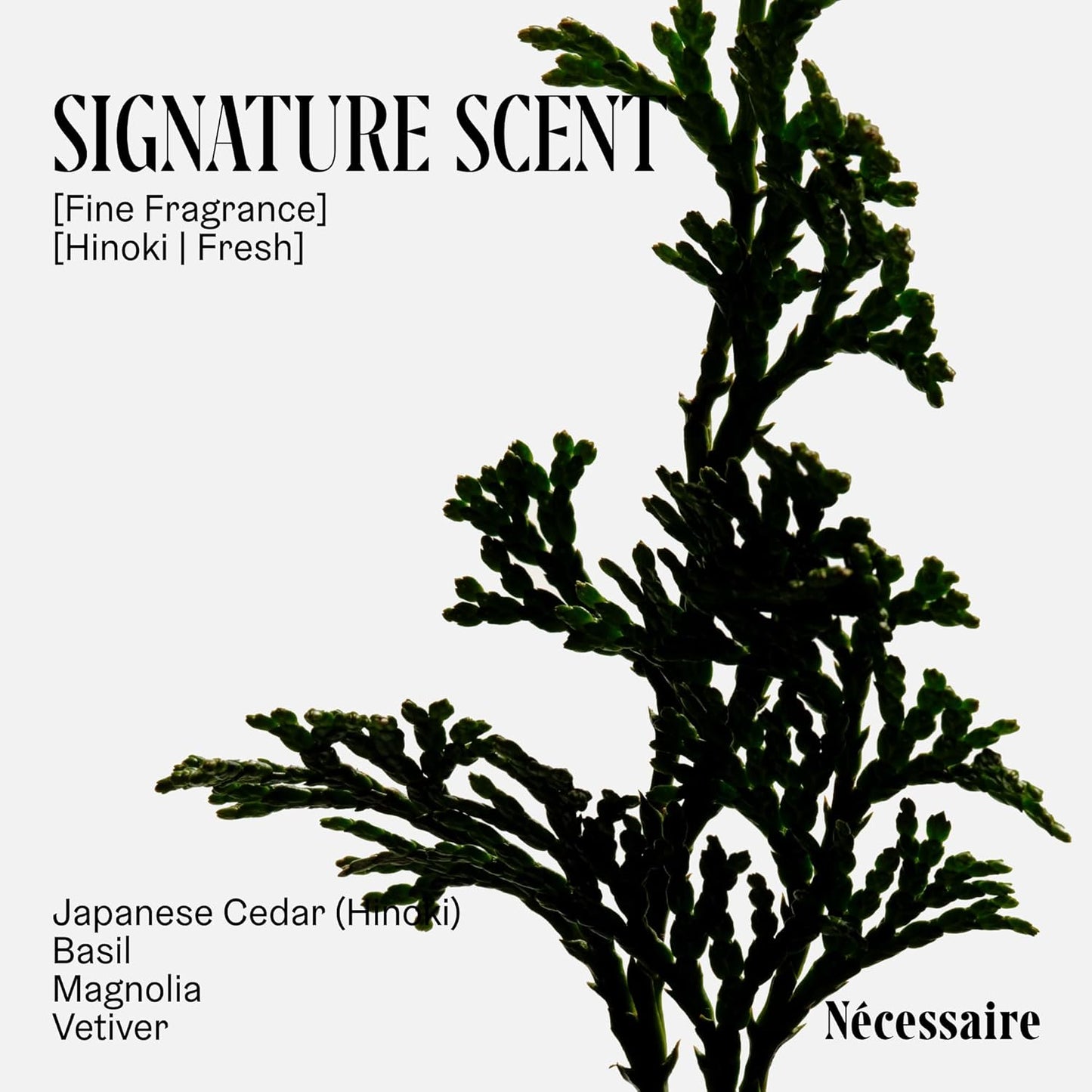 Nécessaire The Body Wash Hinoki. Natural Body Wash for Women & Men, Softening Shower Gel with Gentle Exfoliating Acids AHA/BHA/PHA. Gel Cleanse,16.9 fl oz