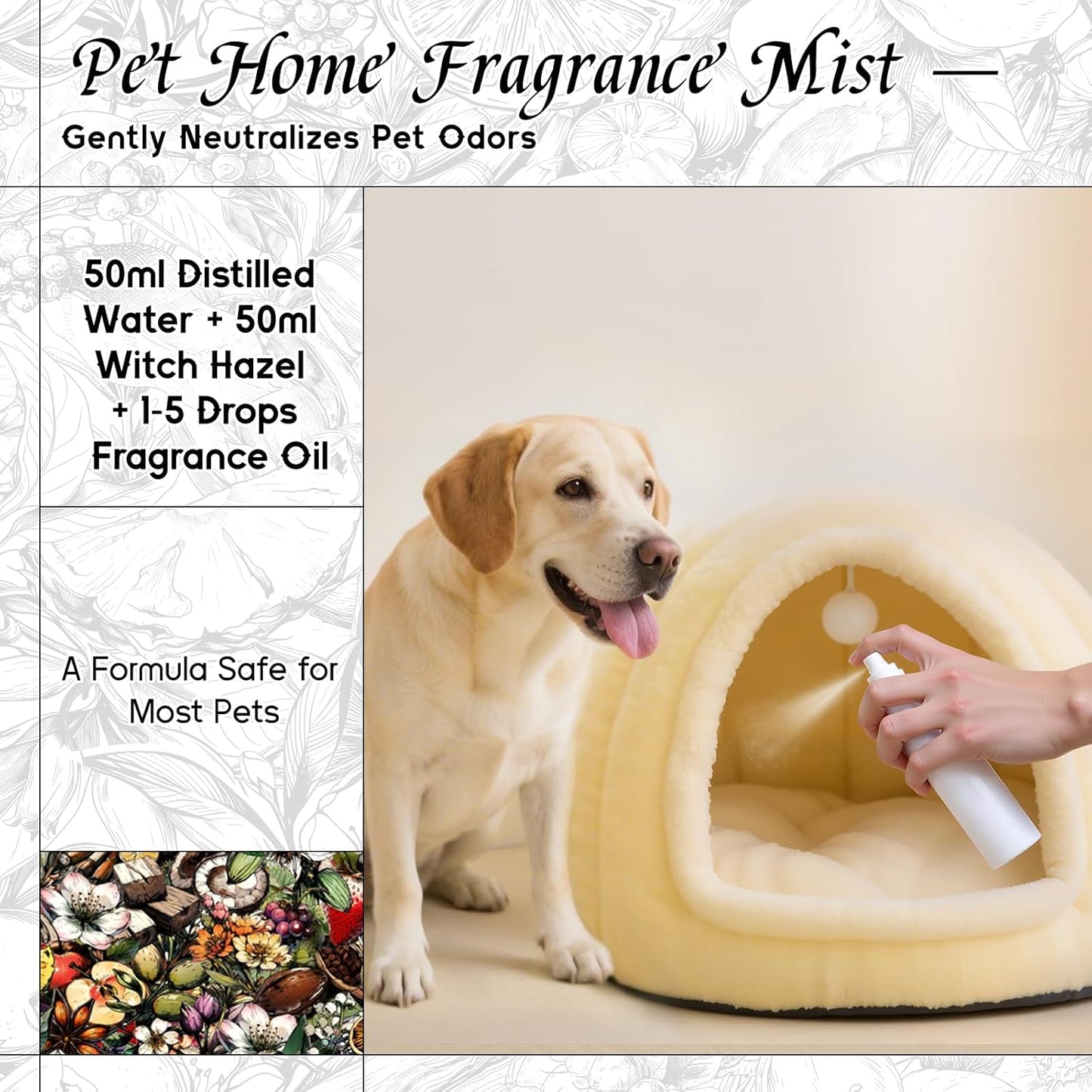 HIQILI Parisian Nocturne Fragrance Oil for Diffuser, Inspired by YL's M.on Paris, Candle & Soap & Perfume Balm Making, Sweet Notes, Long-Lasting Aroma - 1 Fl Oz