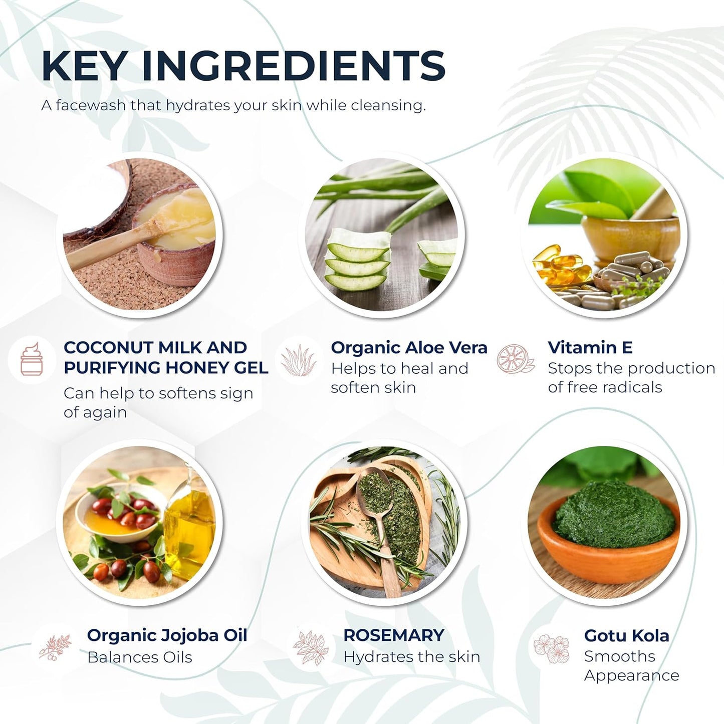 Coconut Milk & Honey Facial Cleanser with Organic Aloe Vera & Jojoba Oil - No added Fragrance, Gentle & Hydrating Face Wash Gel for Sensitive to Dry Skin, 4oz