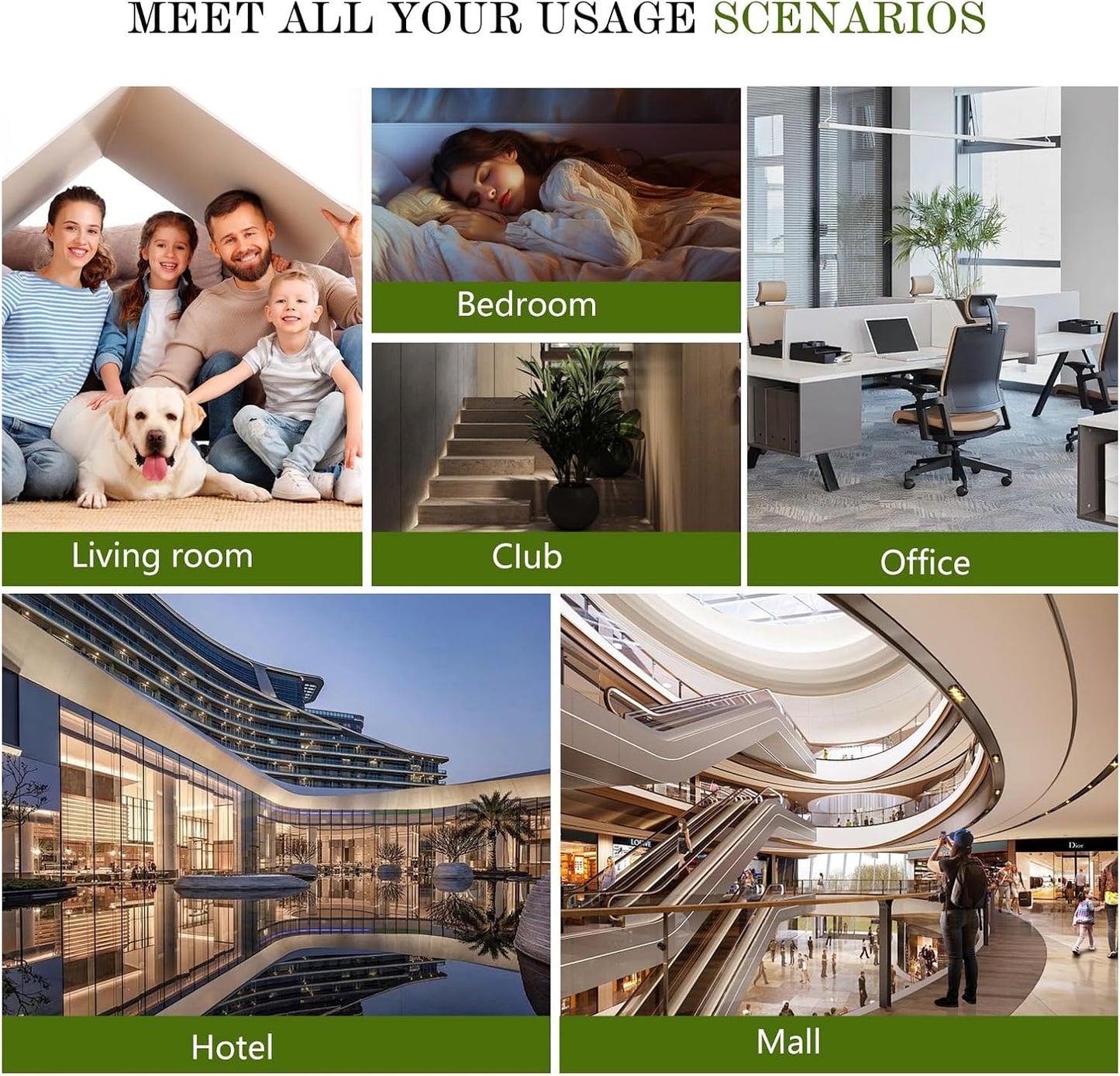 Waterless Diffuser Oil Olene, Essential Scent Oil Usage Cold Air Waterless Diffuser, Luxury Scents Oils Fragrance Bottle120 ML Home Natural Flavour